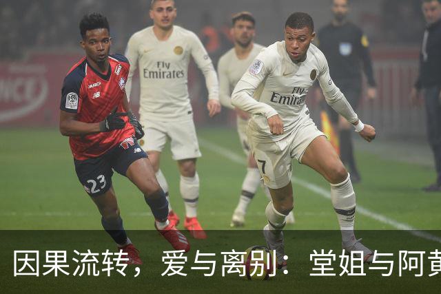 因果流转,爱与离别:堂姐与阿黄的八年